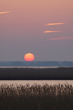 Baltic Sea